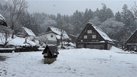 白川郷の雪景色(73)