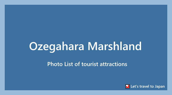 Photo List of Ozegahara Marshland(0)