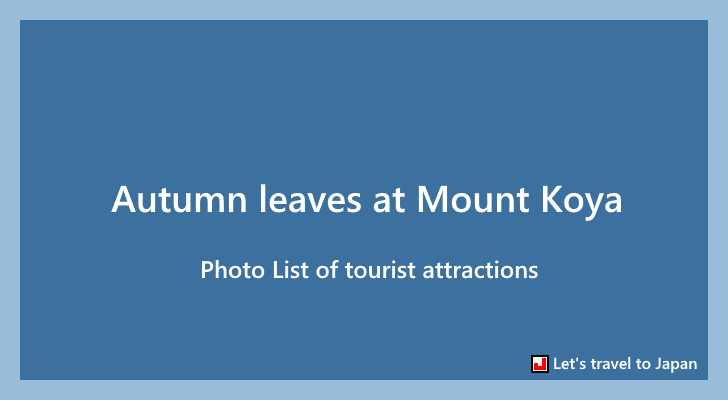 Photo List of autumn leaves at Koyasan(0)