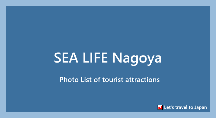Photo List of SEA LIFE Nagoya(0)
