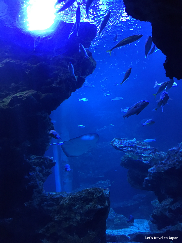 Kyoto Aquarium(3)