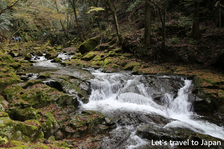 Akame 48 Waterfalls(6)