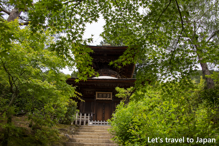 Jojakko-ji Temple(6)