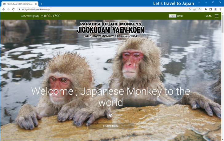 Jigokudani Monkey Park(1)