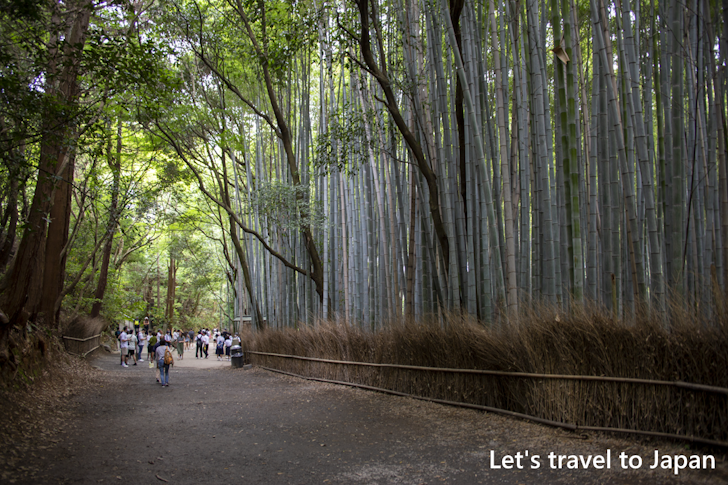 Arashiyama Bamboo Grove(2)