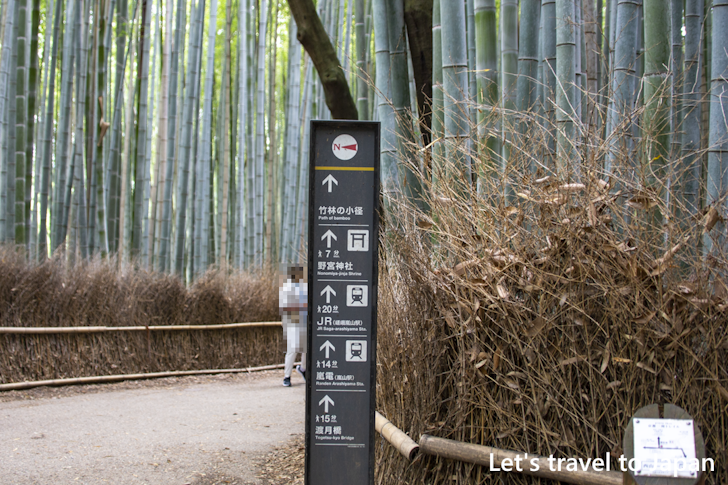 Arashiyama Bamboo Grove(3)