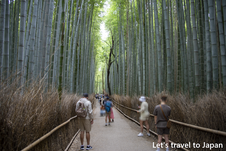 Arashiyama Bamboo Grove(4)
