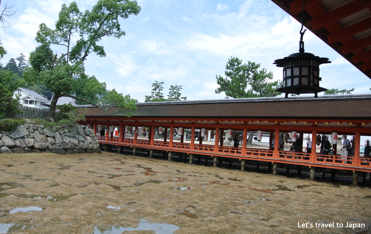 Itsukushima Shrine(10)