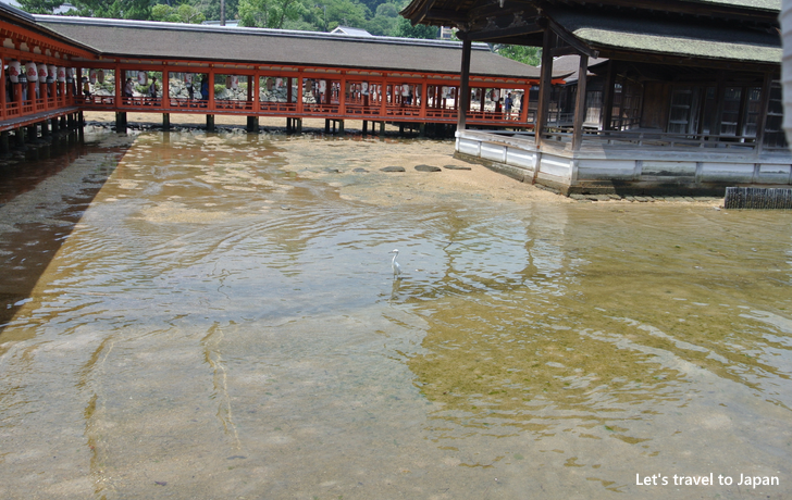 Itsukushima Shrine(9)