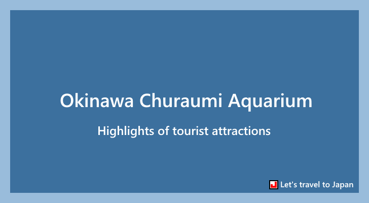 Okinawa Churaumi Aquarium(0)