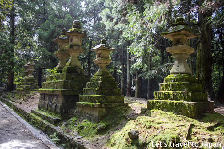 Stone Lantern on the Approach: Highlights of Kasuga Taisha Shrine(1)