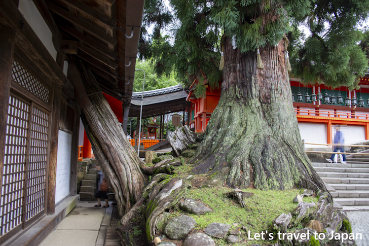 Byakushin: Highlights of Kasuga Taisha Shrine(28)