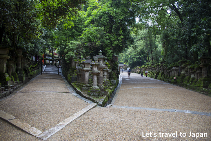 Stone Lantern on the Approach: Highlights of Kasuga Taisha Shrine(2)