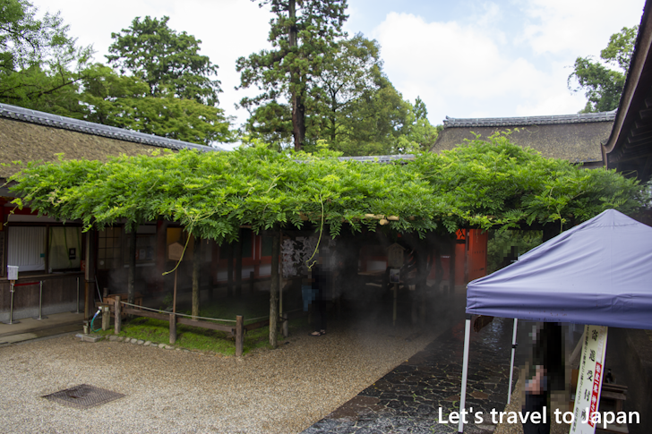 Sunazuri-no-Fuji: Highlights of Kasuga Taisha Shrine(32)