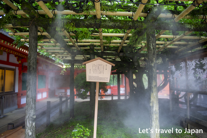 Sunazuri-no-Fuji: Highlights of Kasuga Taisha Shrine(33)