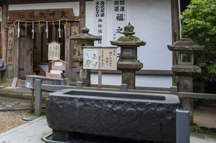 Meoto-Daikokusha Shrine: Highlights of Kasuga Taisha Shrine(37)