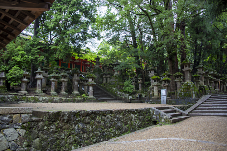 Stone Lantern on the Approach: Highlights of Kasuga Taisha Shrine(4)