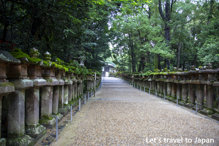 Oaigata Toro on Oaimichi: Highlights of Kasuga Taisha Shrine(5)