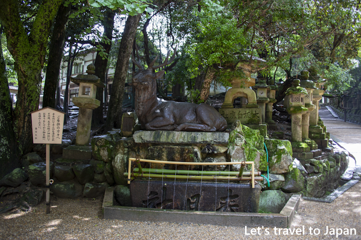 Fuseshika Temizusho: Highlights of Kasuga Taisha Shrine(6)