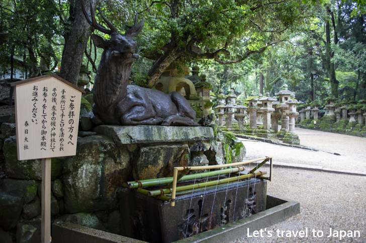 Fuseshika Temizusho: Highlights of Kasuga Taisha Shrine(7)