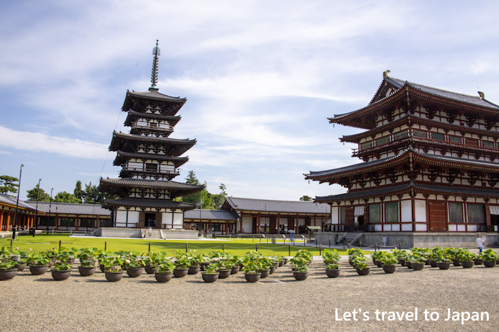 Toto: Highlights of Yakushiji Temple(7)